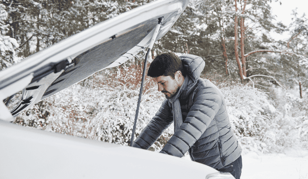 Free V5C Issue Date Check Online